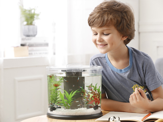 1604390955218802.jpg 5.jpg